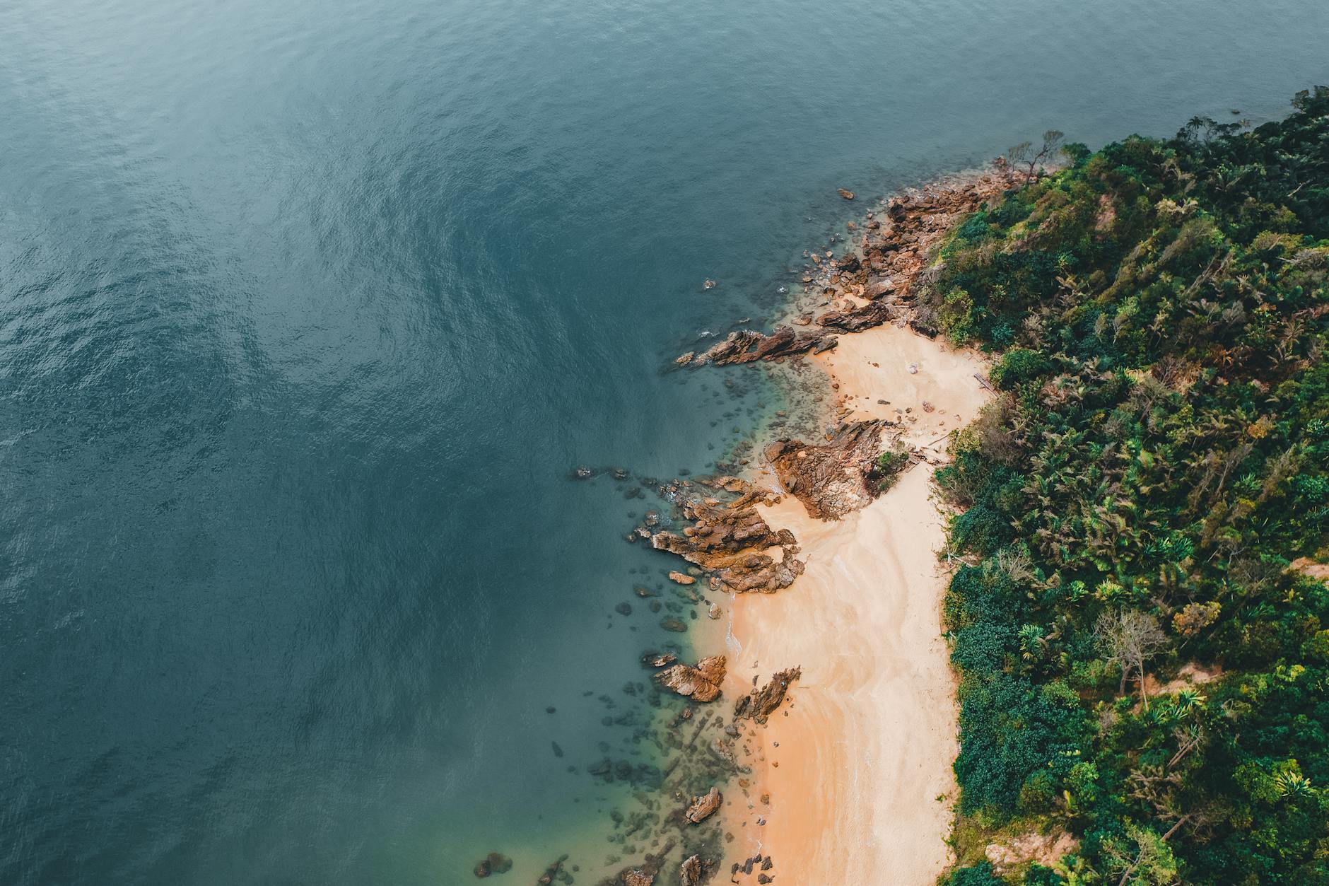 Lotnicze ujęcie dzikiej plaży na Koh Samui z turkusowym morzem i palmami Lotnicze ujęcie dzikiej plaży na Koh Samui z turkusowym morzem i palmami